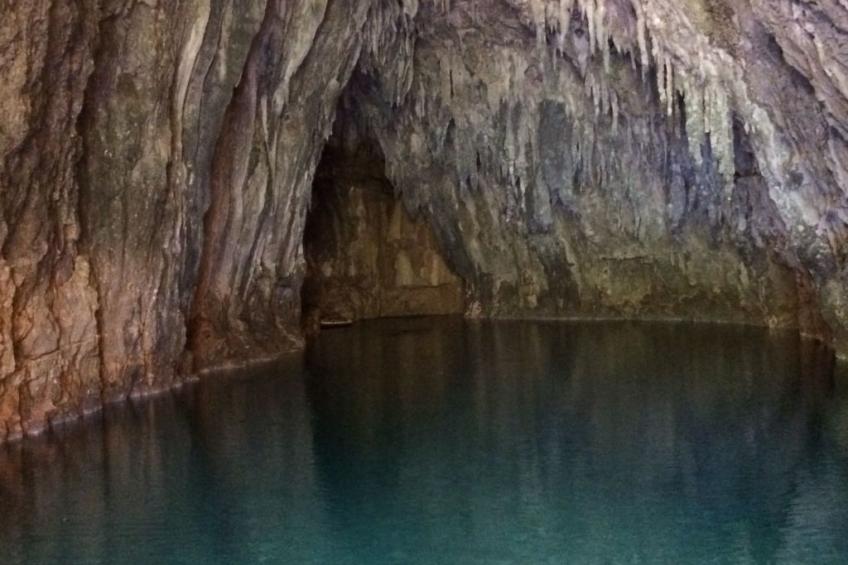 Domäne auf dem Bauernhof - foto 39