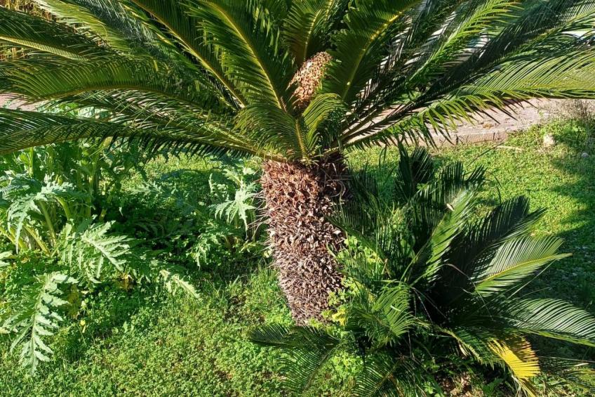 Villa Alma Wohnung in Villa - foto 20