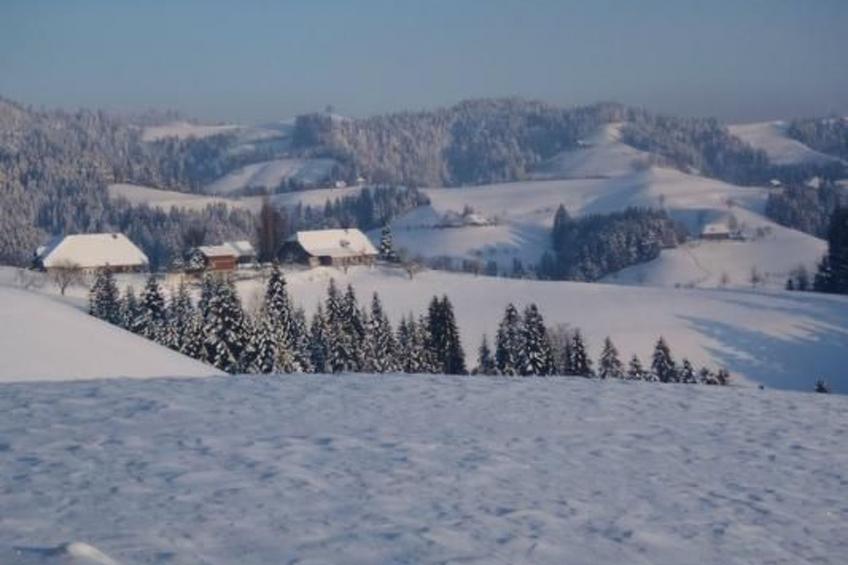 Bauern-Spycher - foto 17