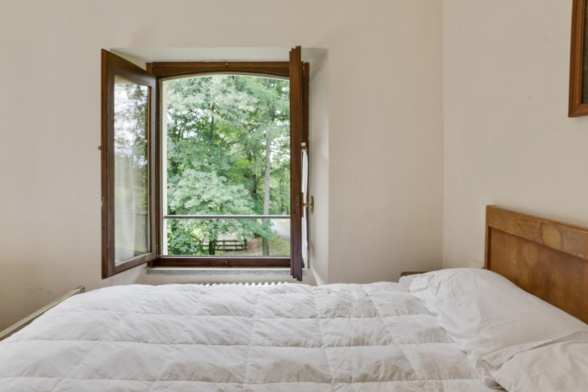 Rododendro - foto 13