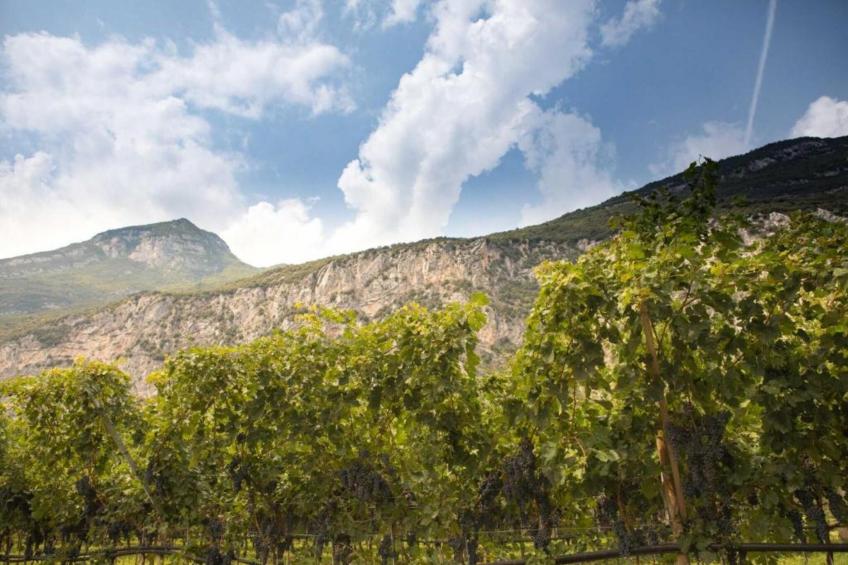 Appartamento Vrikshasana - foto 29