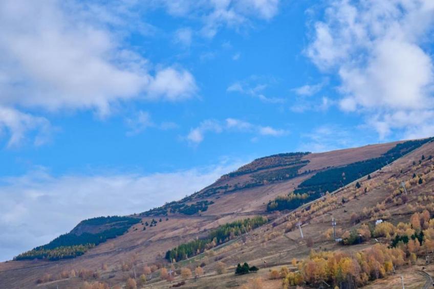 Balcons des Pistes  N°217.218 - 3P8 - foto 40