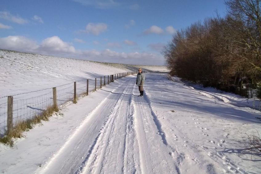 Haus Am Emsdeich - foto 27