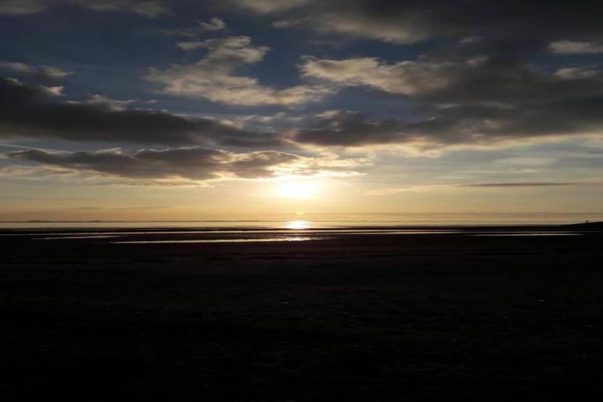 De Meerkoet - foto 30