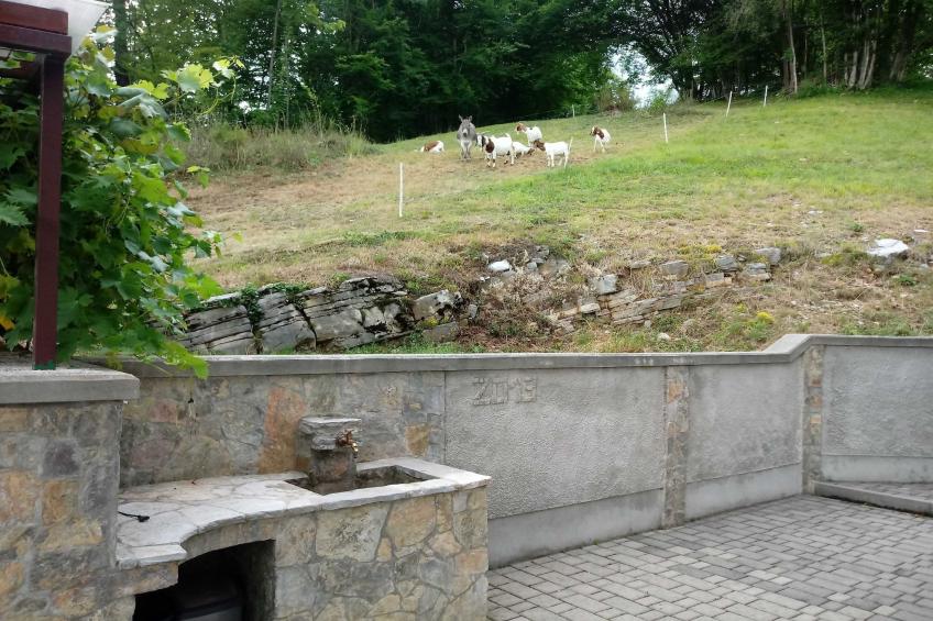 Holiday Home Slap with Sauna and BBQ - Two Bedroom Holiday Home - foto 43