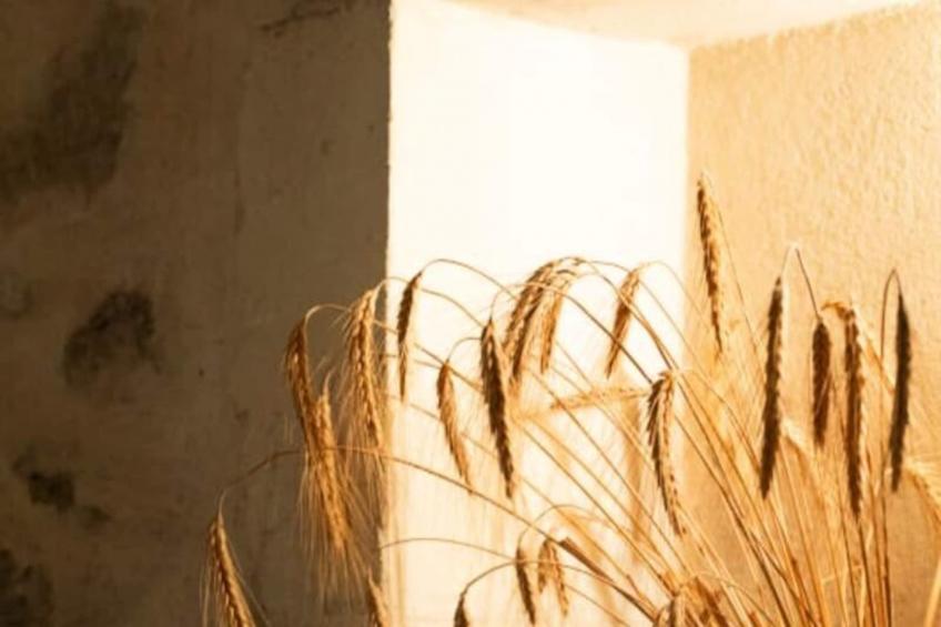 Mas De Thésée | Piscine & 12 Ha Privés - foto 23