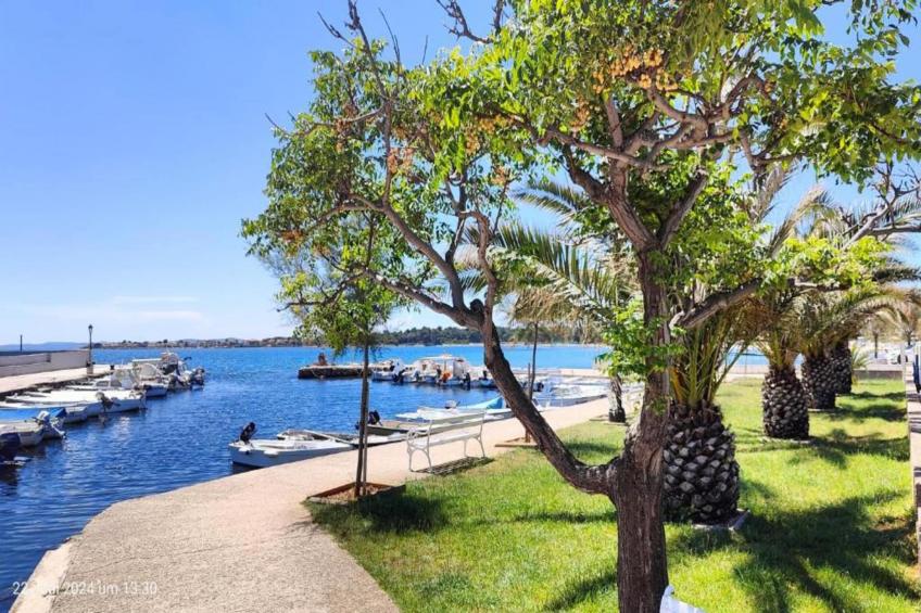 Resort More 2 - foto 23