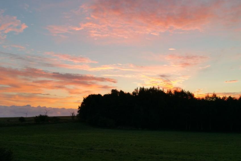 Haus-Zauberblau - foto 30