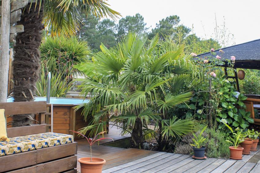 Ferienhaus mit Pool (LPO150) - foto 6