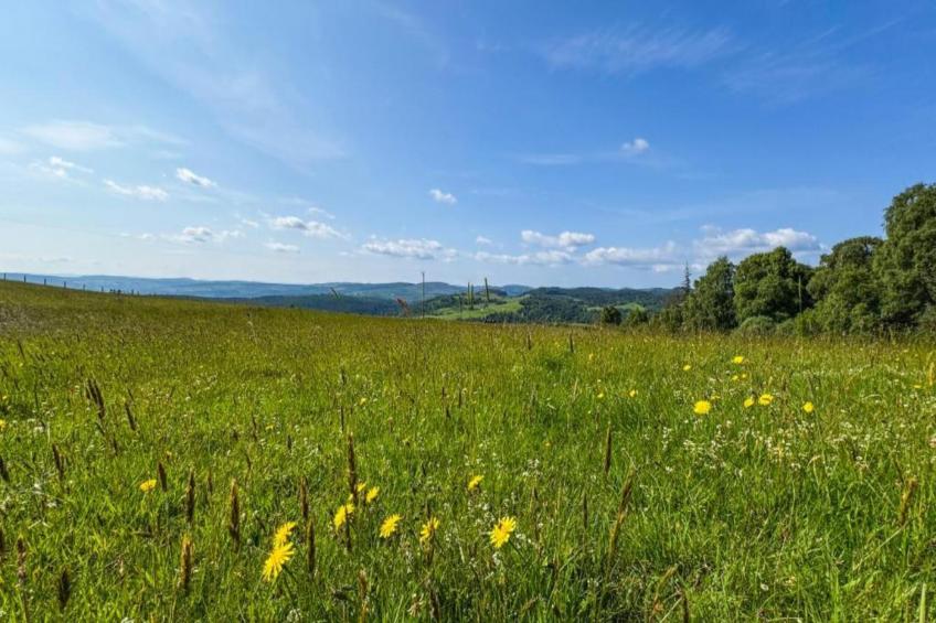 The Bakers Hut - foto 23