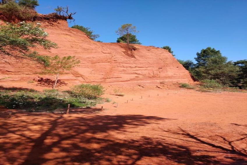 La Bastide des Chênes - foto 33