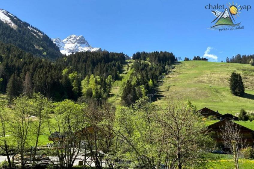 Chalet Montjoie - foto 34