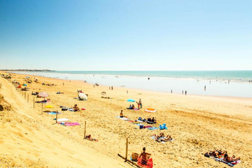 Appartements à Saint-Hilaire-de-Riez - foto 38