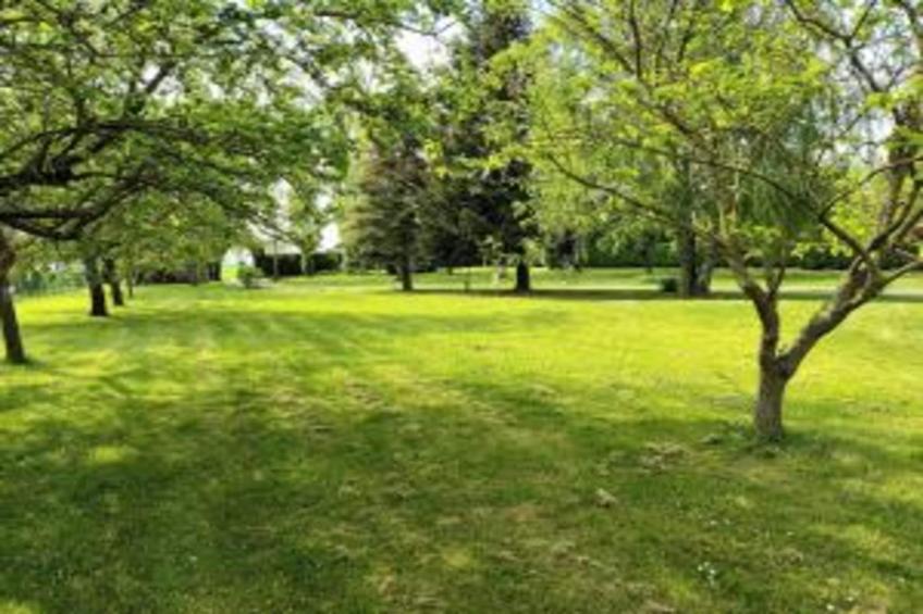 Maison de vacances - CHILLEURS-AUX-BOIS - foto 29