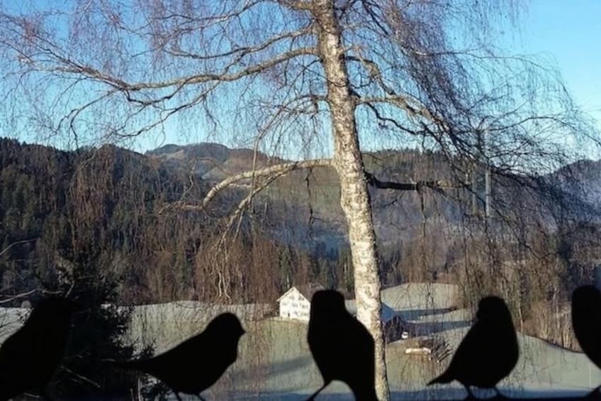 Haus Chrumis - foto 6