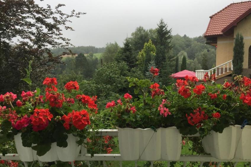 Komfortables Ferienhaus Ewa in Meszna Opacka - foto 5