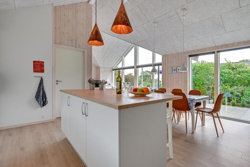 "Regni" - 300m to the inlet in The Liim Fiord - foto 36