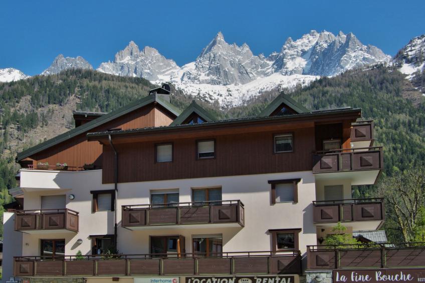 L'Espace Montagne - foto 6