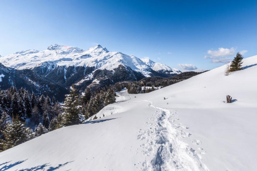Surses Alpin - foto 49