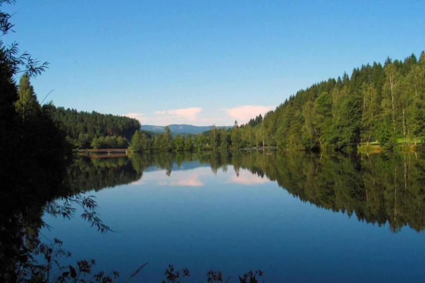 Waldferien - foto 30
