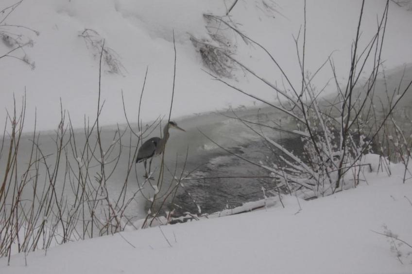 Spiegeltal - foto 16