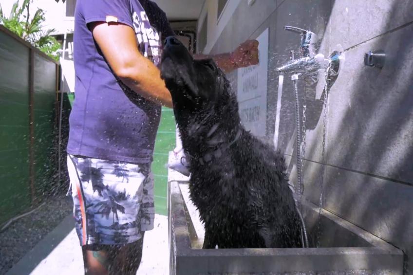 Caravanpark San Benedetto Camping Relais Peschiera / MH Borgo - foto 28