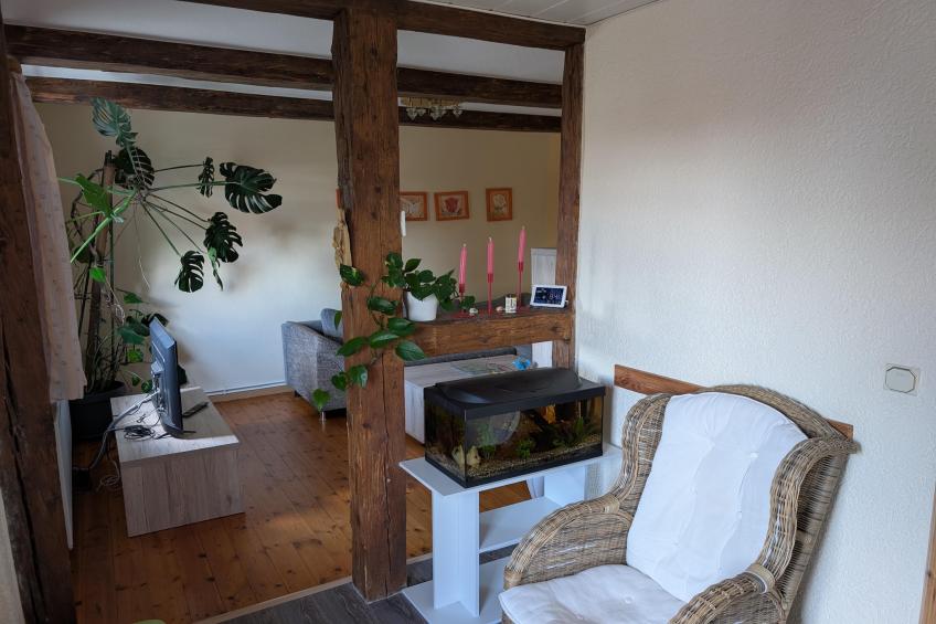 Stalter - foto 4