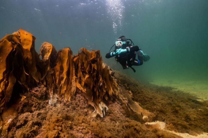 Appartements à Carraroe Galway - foto 10