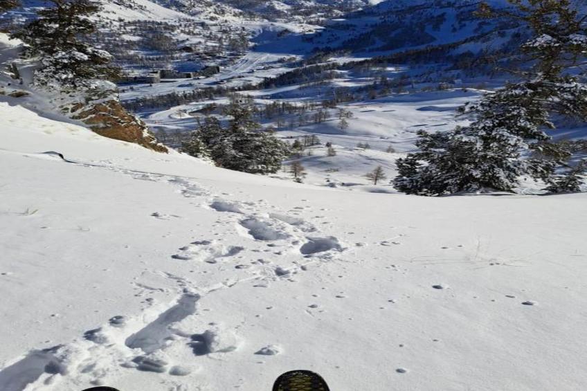 Les Terrasses d'Isola - foto 28