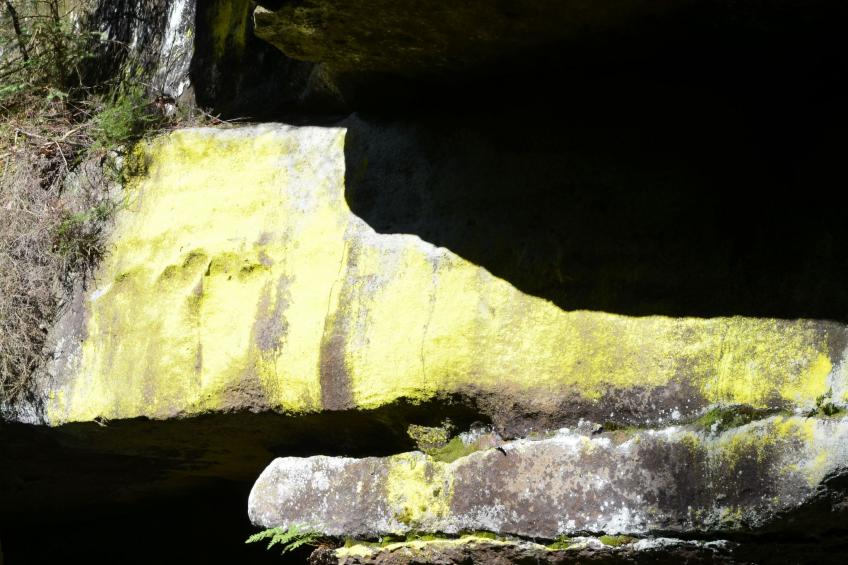 Panoramablick in Königstein - foto 27