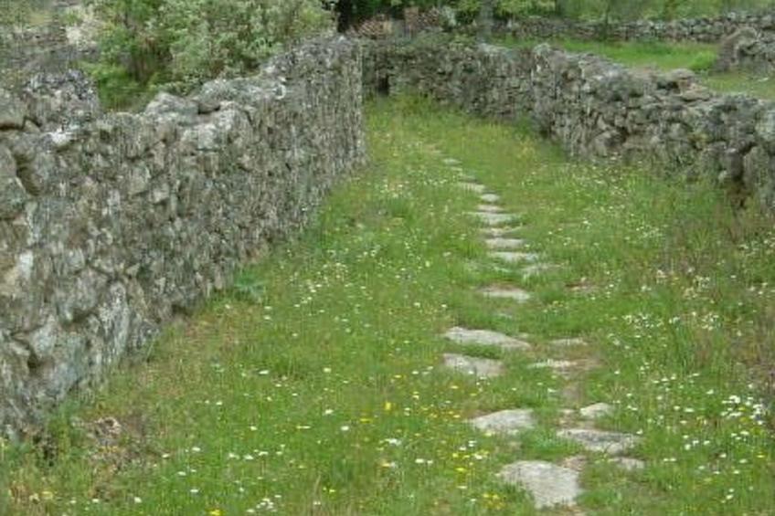 Das Cortijo auf der Finca al-manzil - foto 32