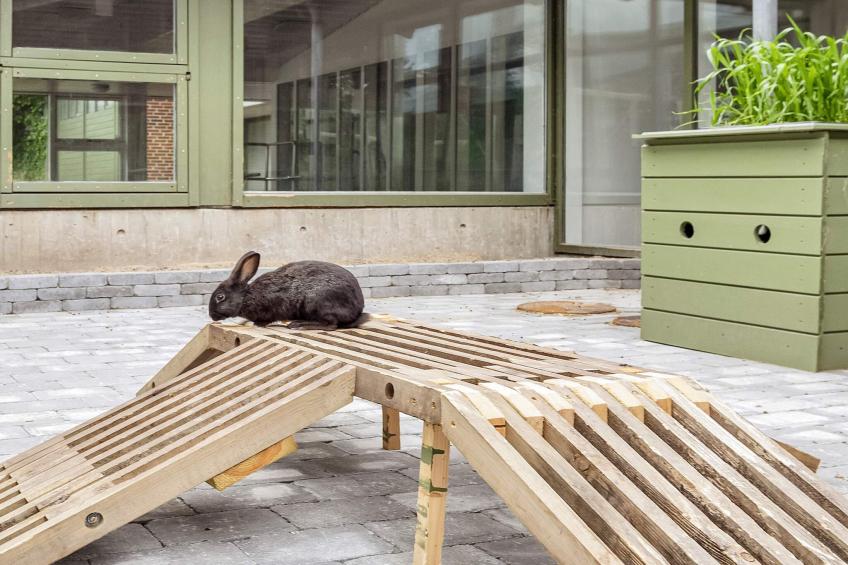 Hotel,double room incl.linen - foto 20