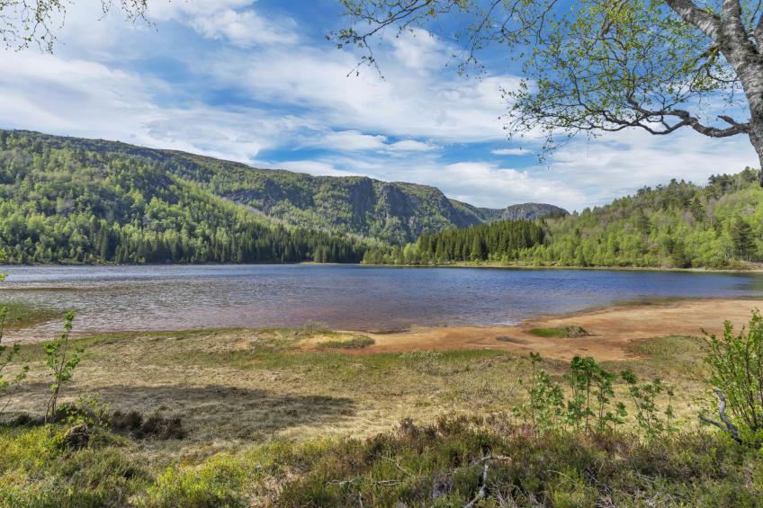 Oddbu (SOW103) - foto 33