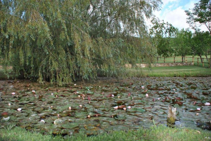 Appartamento 16 - foto 39