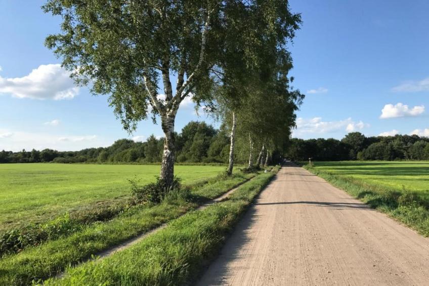 Huus in 't Hagt - foto 25