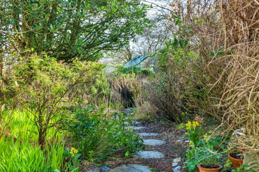 Dolwar Cottage - foto 6