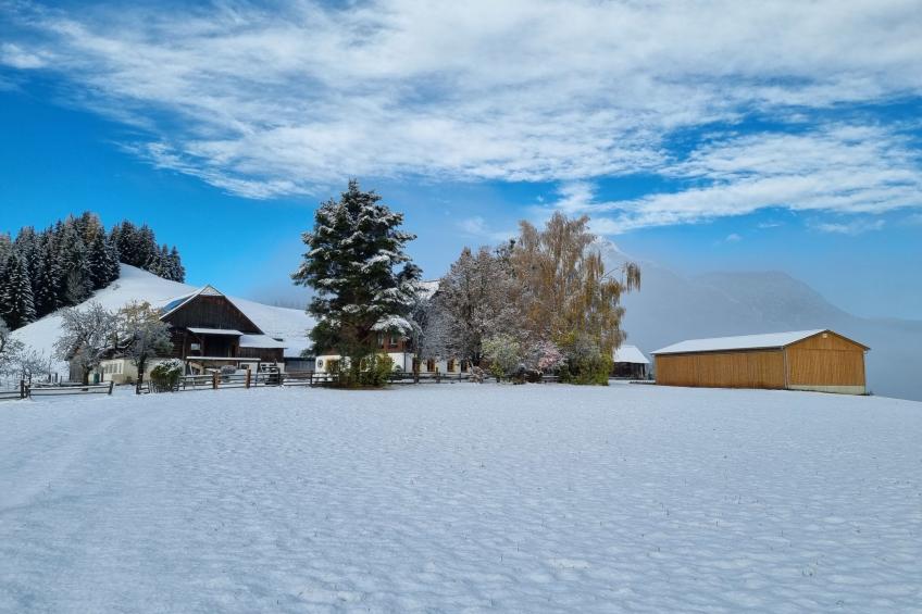 Kulmer Hof - foto 44