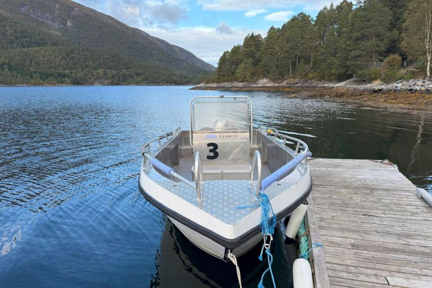 Stabben white House - foto 31