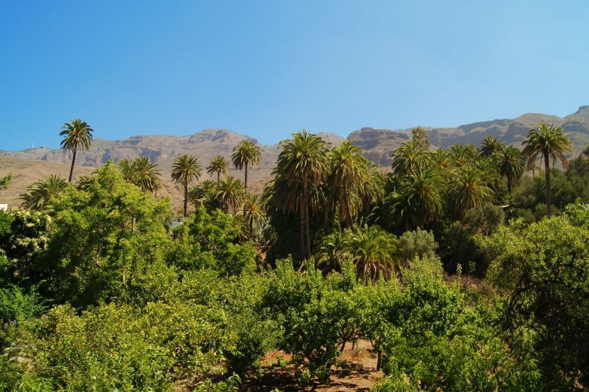 Komfortables Ferienhaus La Fuente de la Flora - foto 24