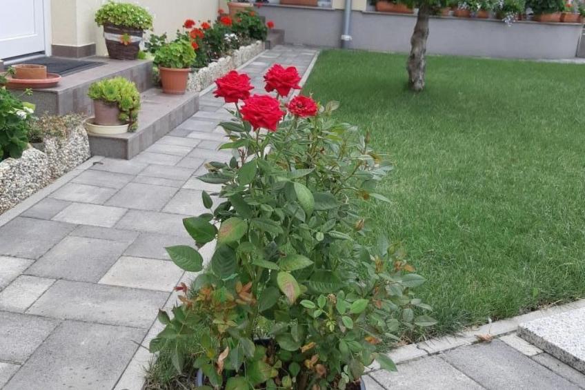 in Bük im Parterre mit Garten - foto 20