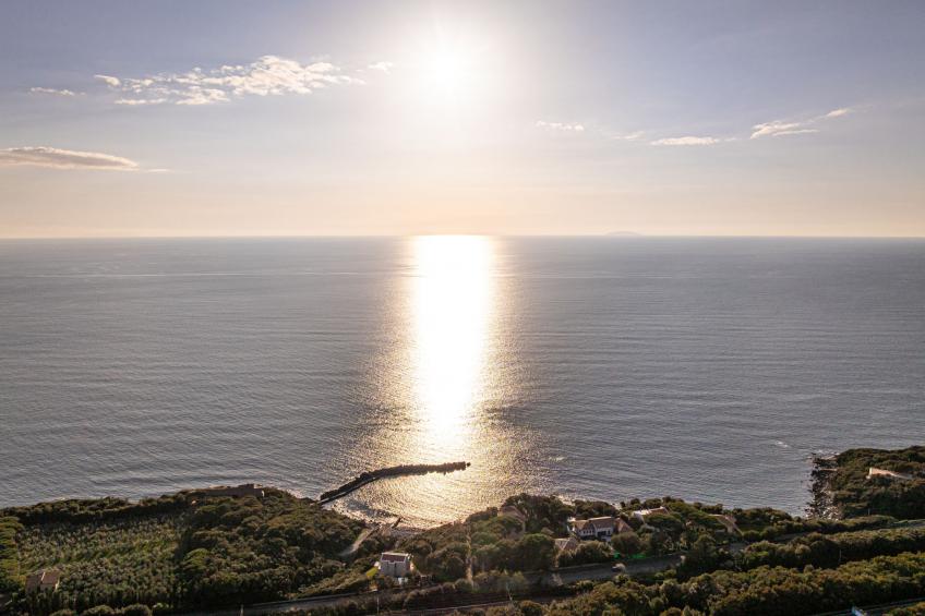 La casetta immersa nel verde - foto 32