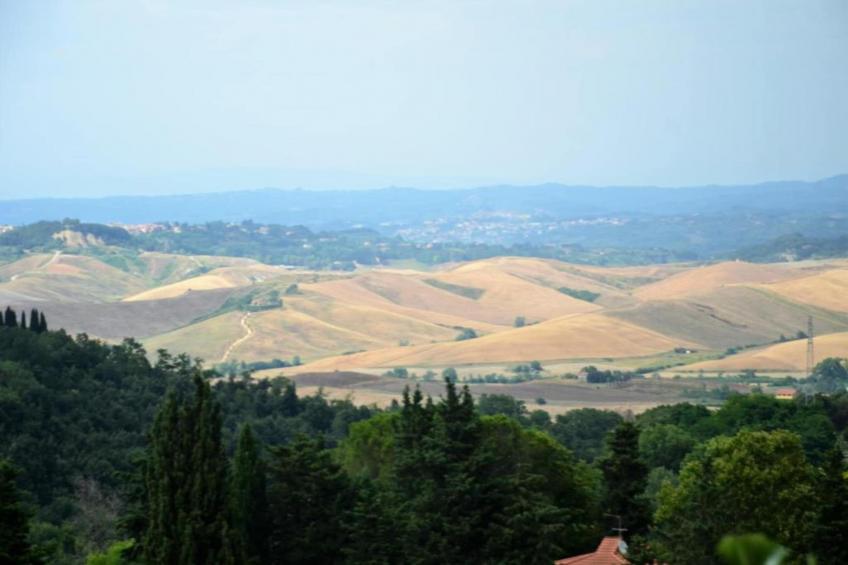 La Casa dei Nonni - foto 34