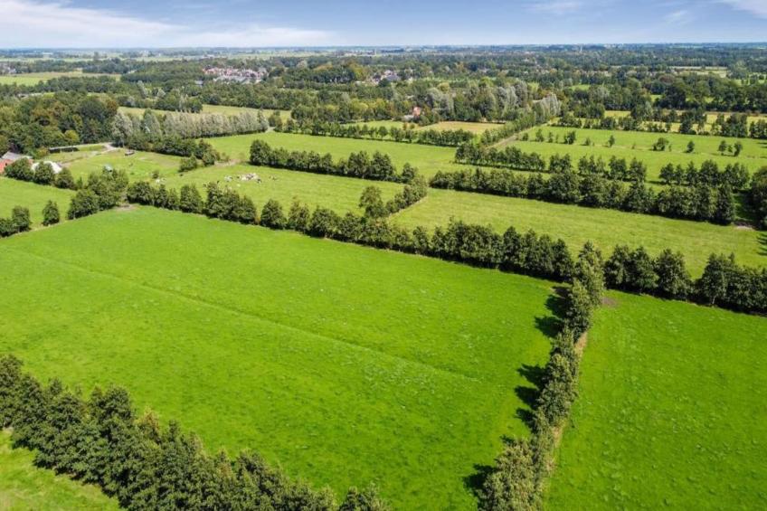 Twee safaritenten "Noflik" & "Gaadlik" naast elkaar - foto 36
