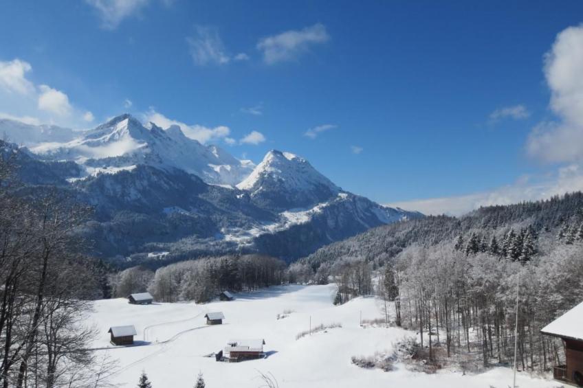 Am Bächli - foto 14