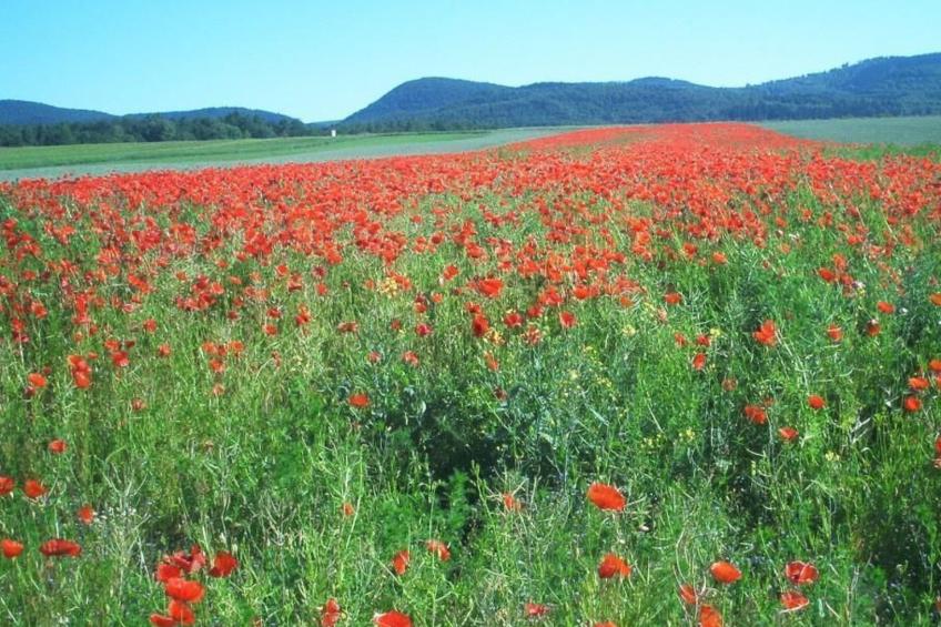 Fewo Stricker 33 - foto 48