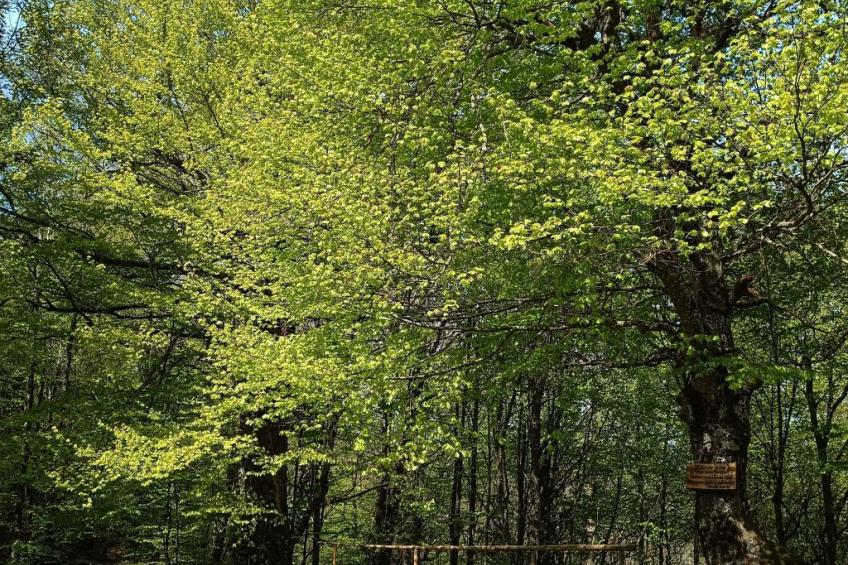 Haus in Sleme Skradsko mit Whirlpool und Parkplatz - foto 22