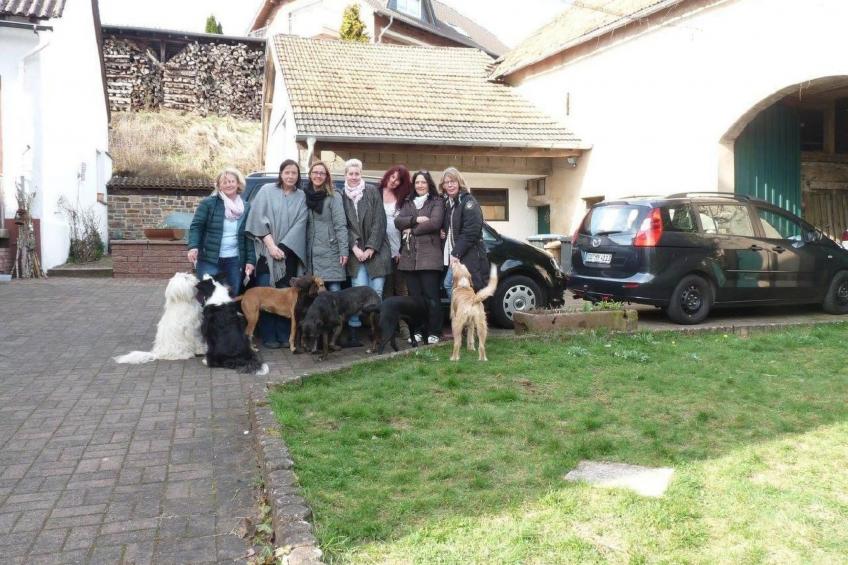 Landhaus Erika - foto 37