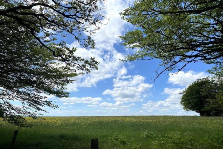 Higher House - foto 36