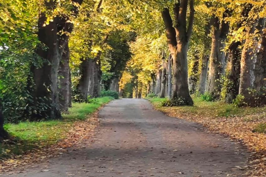 Ferienwohnung Eggetraum - foto 23