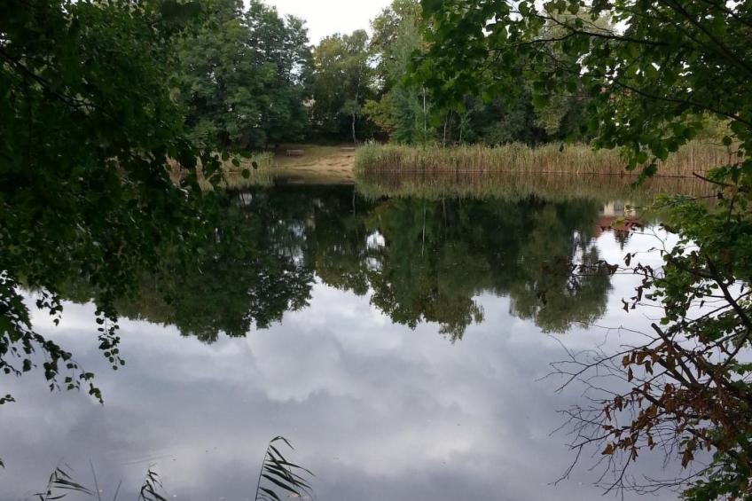 Feienhaus Gregor - foto 9